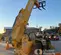 2018 JCB 510-56 S Forklift