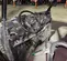 2022 Polaris PRO XD 4000D Utility Vehicle