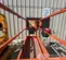 2019 JLG 1932R Scissor Lift
