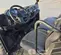 2023 Polaris XP KINETIC PREM Utility Vehicle