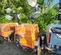 2019 Magnum Pro MLT6SM Portable Light Tower