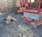 2019 MEC MICRO 19 Scissor Lift