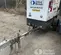 2021 Magnum Pro MDG25IF4CAN Diesel Generator