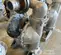 2021 VERSAMATIC E3SA5T559C-ATEX Pump