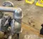 2024 VERSAMATIC E3SA5T559C-ATEX Pump