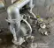 2025 VERSAMATIC E3SA5T559C-ATEX Pump